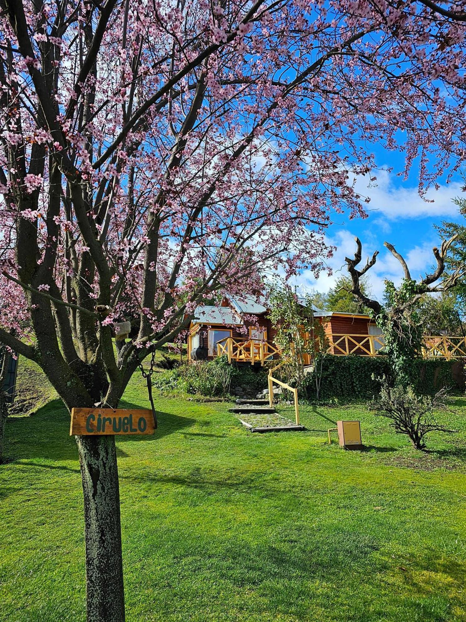 La Yaya - Villa Turismo El Bolsón Eksteriør billede